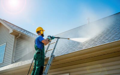 Mold and Mildew Removal for Daytona Beach Homes