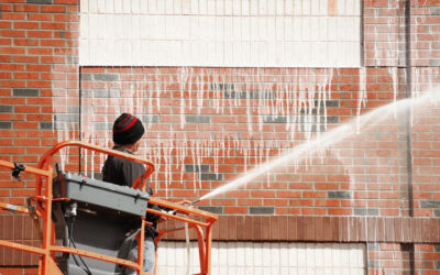 Professional vs DIY Pressure Washing Daytona Beach