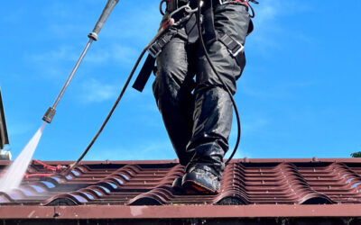 Roof Cleaning for Daytona Beach, FL Homes